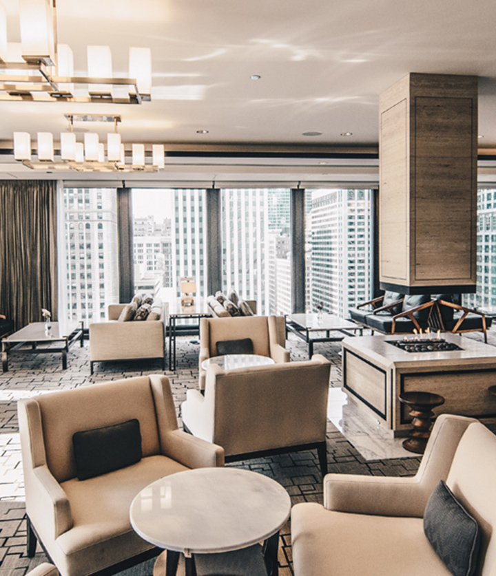 Novus code Alpaca portada Novus Code BEST TECH PARTNER